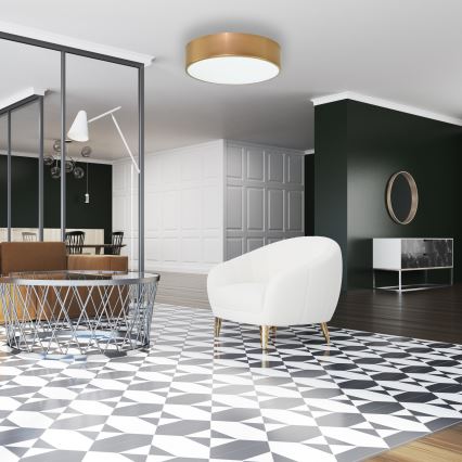 Stropné svietidlo CLEO so senzorom pohybu a súmraku, 2×E27, 24 W, 230 V, priemer 30 cm, zlaté