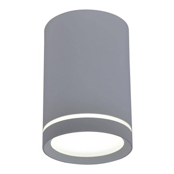 Stropné svietidlo TUBA GU10/15W/230V
