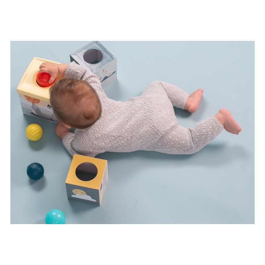 Taf Toys - Interaktívna hracia sada severný pól