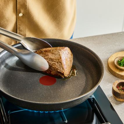 Tefal - 12-dielna sada riadu INGENIO Expertise