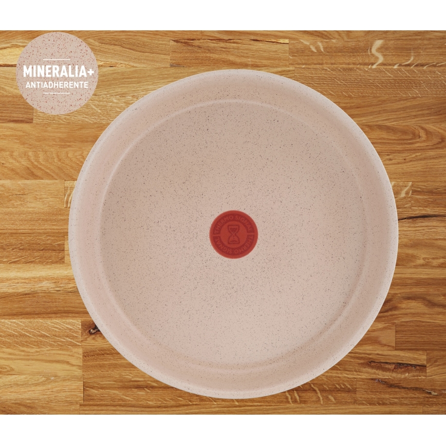 Tefal - 3-dielna sada panvíc INGENIO DELIGHT