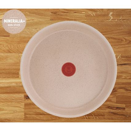 Tefal - 6-dielna sada riadu INGENIO DELIGHT