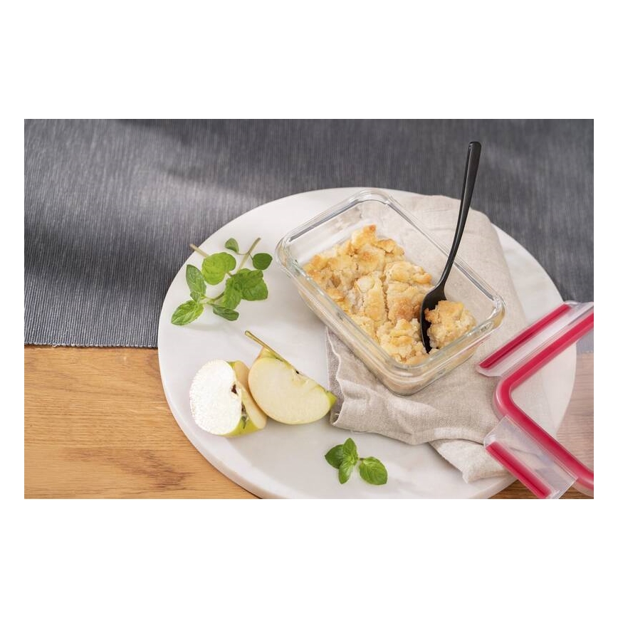 Tefal - Dóza na potraviny 0,45 l MSEAL GLASS červená/sklo
