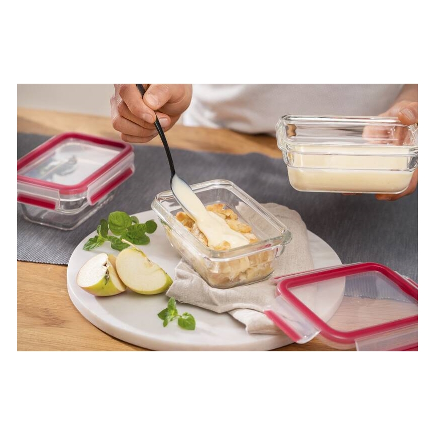 Tefal - Dóza na potraviny 0,45 l MSEAL GLASS červená/sklo