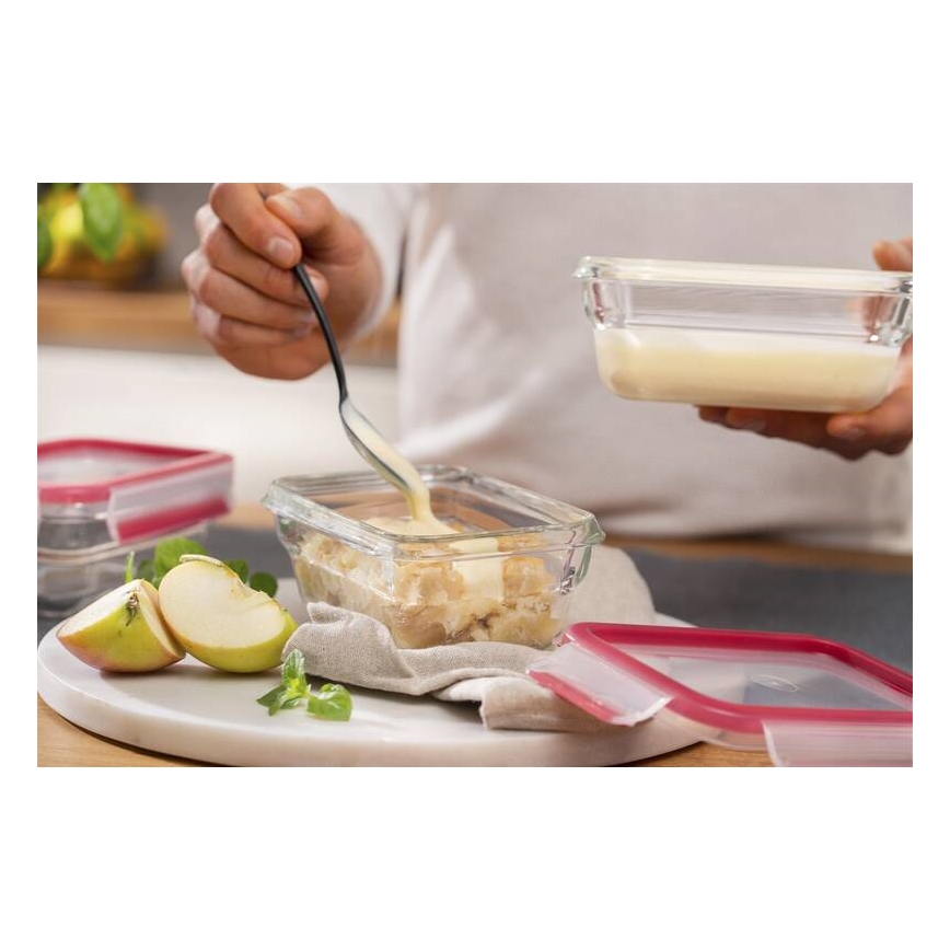 Tefal - Dóza na potraviny 0,45 l MSEAL GLASS červená/sklo