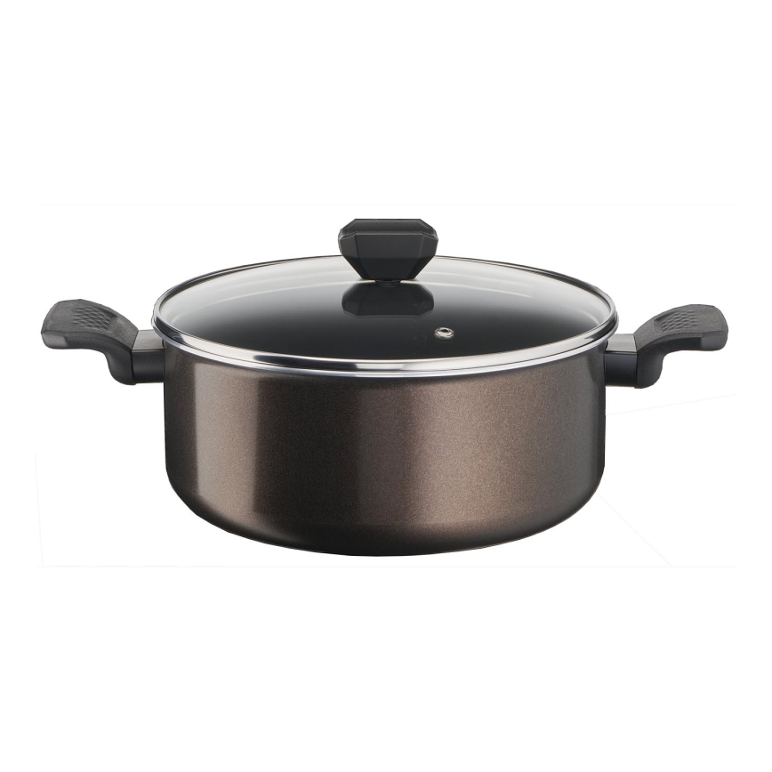 Tefal - Hrniec s pokrievkou EASY COOK & CLEAN 24 cm