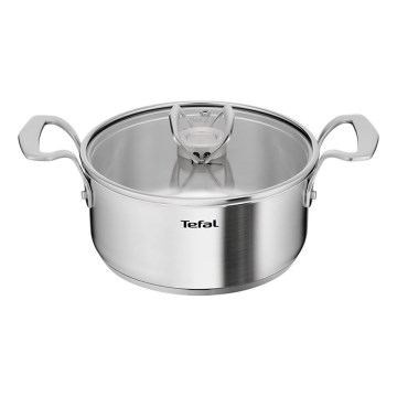 Tefal - Hrniec s pokrievkou EXTREME 20 cm