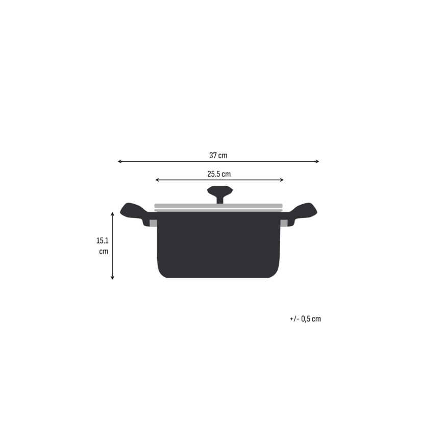 Tefal - Hrniec s pokrievkou EXTREME 24 cm