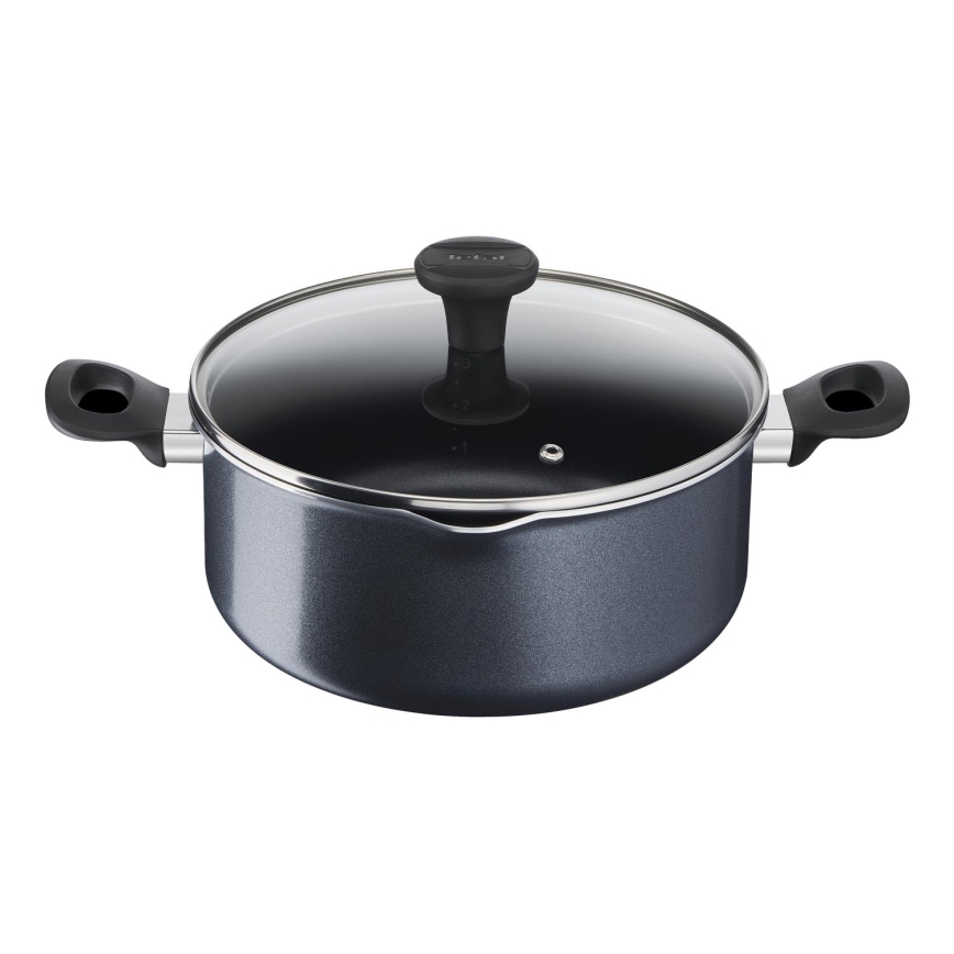 Tefal - Hrniec s pokrievkou FAMILY DAY 24 cm