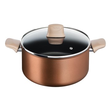 Tefal - Hrniec s pokrievkou RESPECT pr. 24 cm
