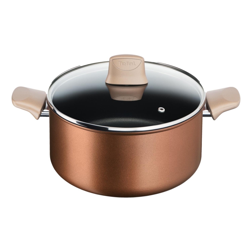 Tefal - Hrniec s pokrievkou RESPECT pr. 24 cm