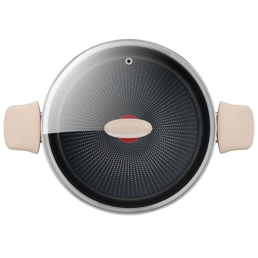 Tefal - Hrniec s pokrievkou RESPECT pr. 24 cm