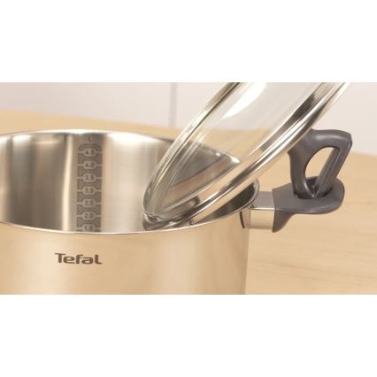 Tefal - Kastról s pokrievkou DAILY COOK 20 cm