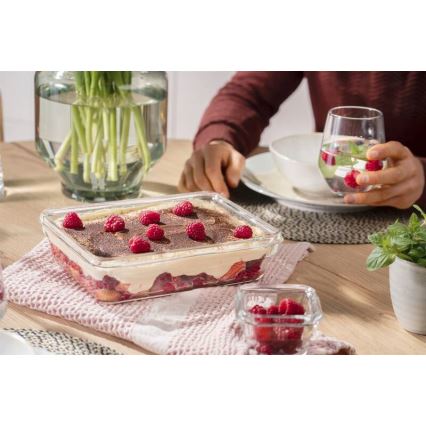 Tefal - Nádoba na potraviny 3 l MSEAL GLASS červená/sklo