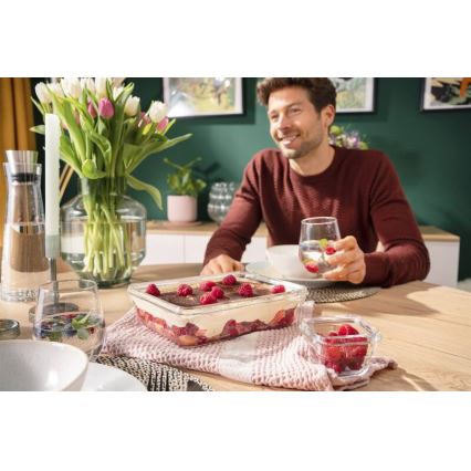 Tefal - Nádoba na potraviny 3 l MSEAL GLASS červená/sklo