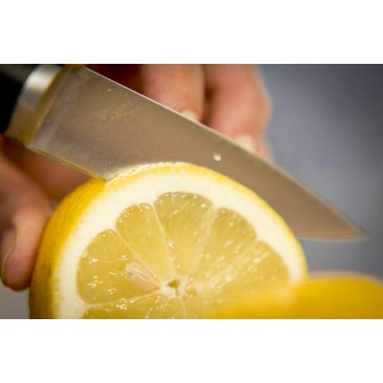 Tefal - Nerezový nôž vykrajovací ICE FORCE 9 cm lesklý chróm/čierna