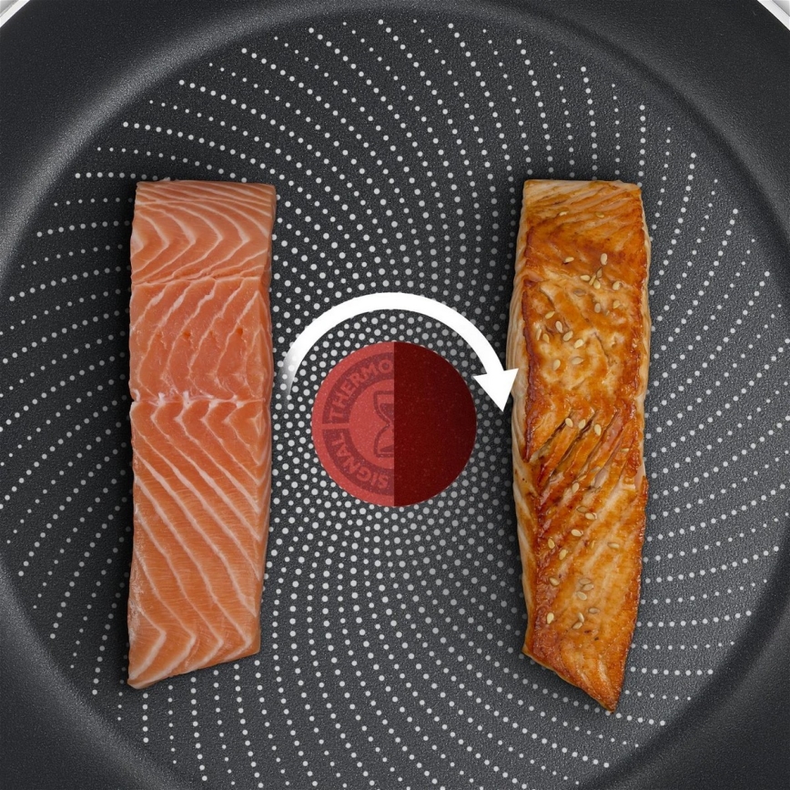 Tefal - Panvica DELICIOUS 20 cm