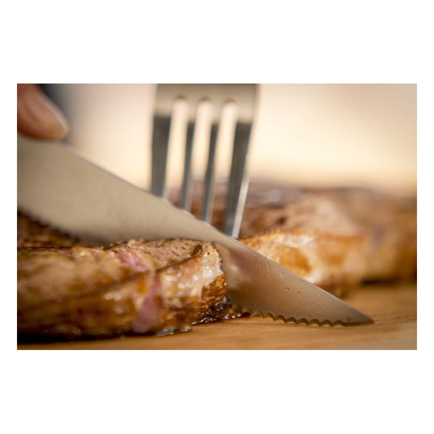 Tefal - Sada 4x nerezových steakových nožov ICE FORCE 11 cm, lesklý chróm/čierna