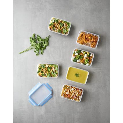 Tefal - SADA 6x dóz na potraviny 0,8 l MASTER SEAL FRESH modrá