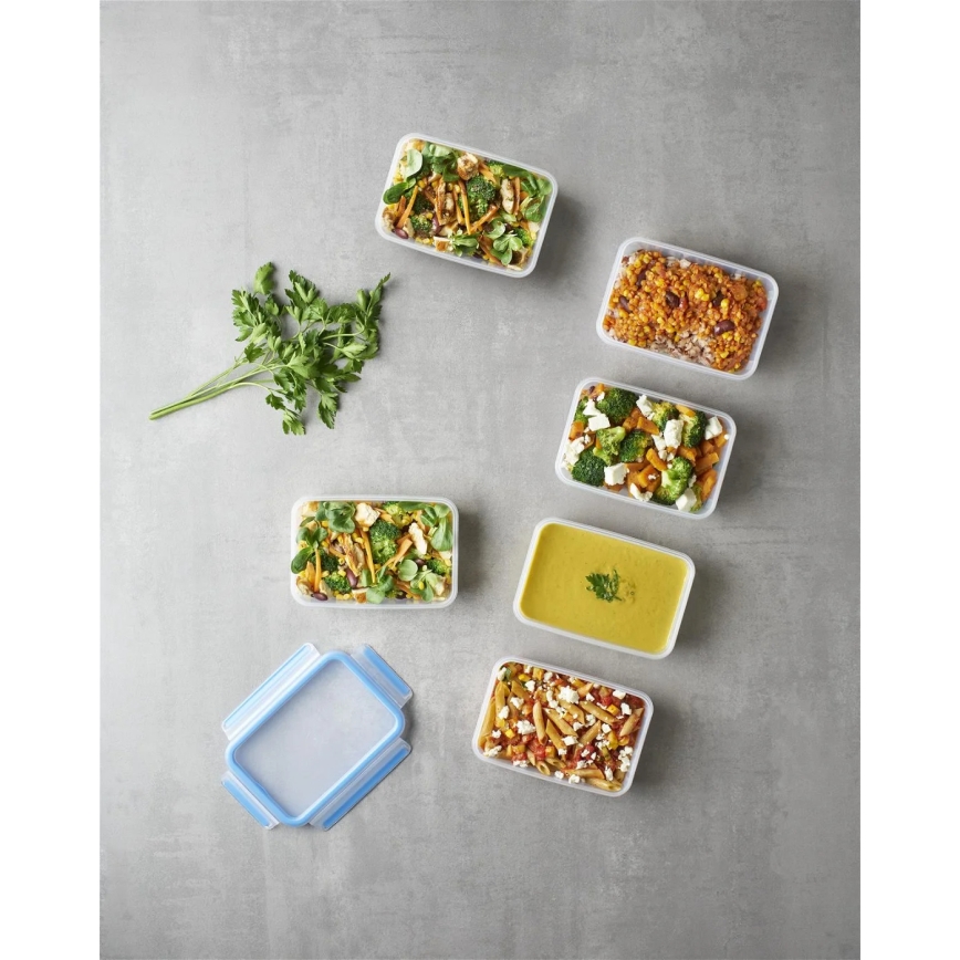 Tefal - SADA 6x dóz na potraviny 0,8 l MASTER SEAL FRESH modrá