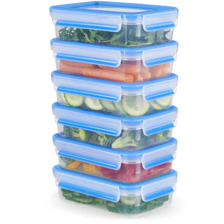 Tefal - SADA 6x dóz na potraviny 0,8 l MASTER SEAL FRESH modrá