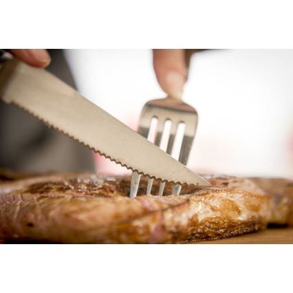 Tefal – Sada 4 steakových nožov ICE FORCE, nerezová oceľ, 11 cm, lesklý chróm/čierna