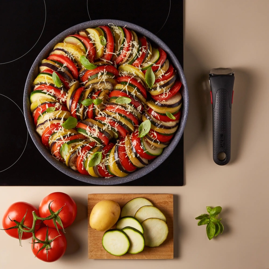 Tefal - Sada rajníc 4 ks INGENIO NATURAL FORCE