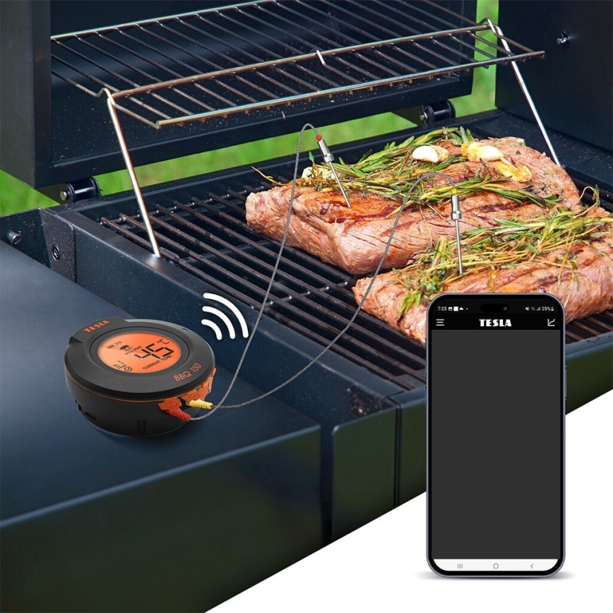 TESLA Electronics Cook - Digitálny teplomer na mäso so sondou 0-400 °C 2xAA IP65