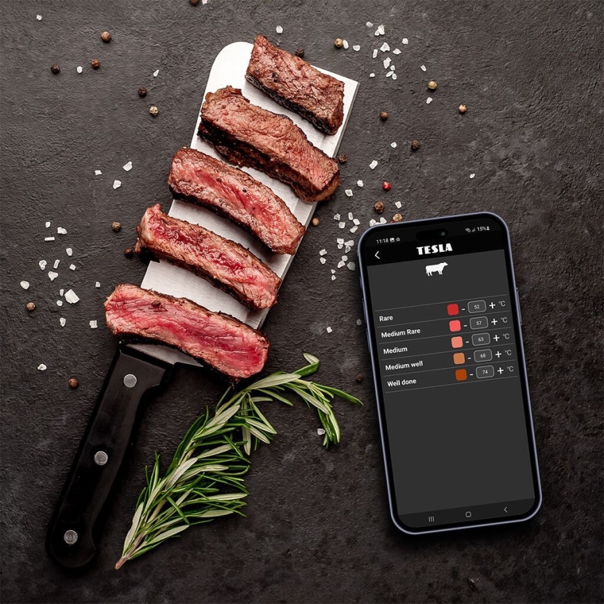 TESLA Electronics Cook - Digitálny teplomer na mäso so sondou 0-400 °C 2xAA IP65