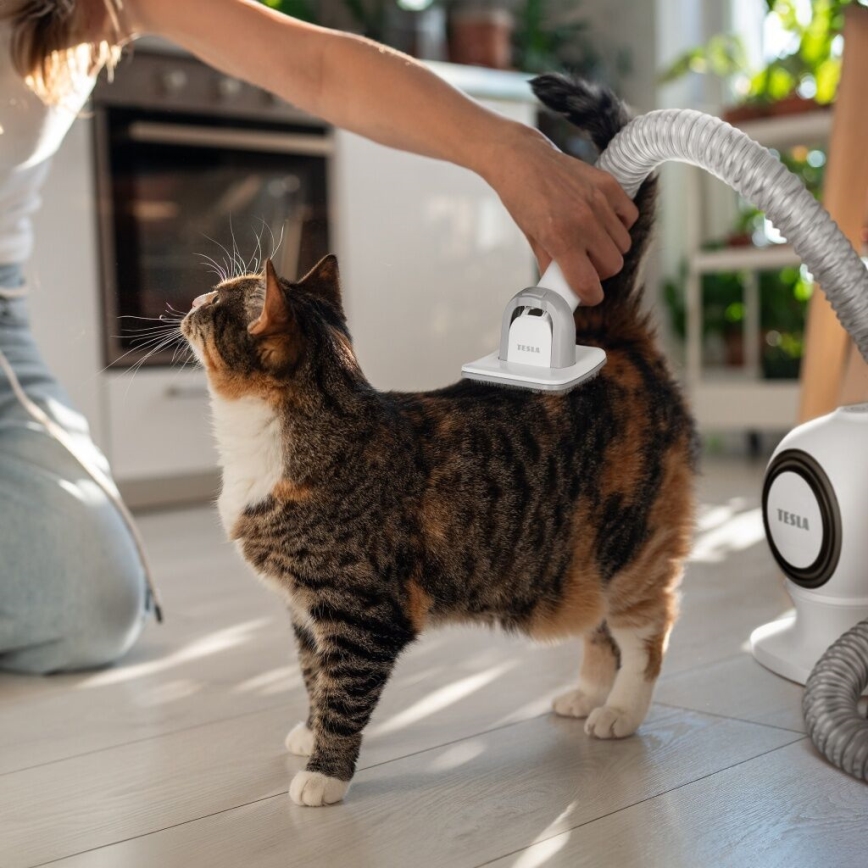 TESLA Electronics PetCare - Sada na starostlivosť o srsť domácich maznáčikov 300W/230V
