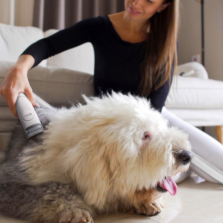 TESLA Electronics PetCare - Sada na starostlivosť o srsť domácich maznáčikov 300W/230V