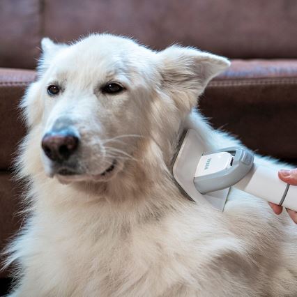 TESLA Electronics PetCare - Sada na starostlivosť o srsť domácich maznáčikov 300W/230V