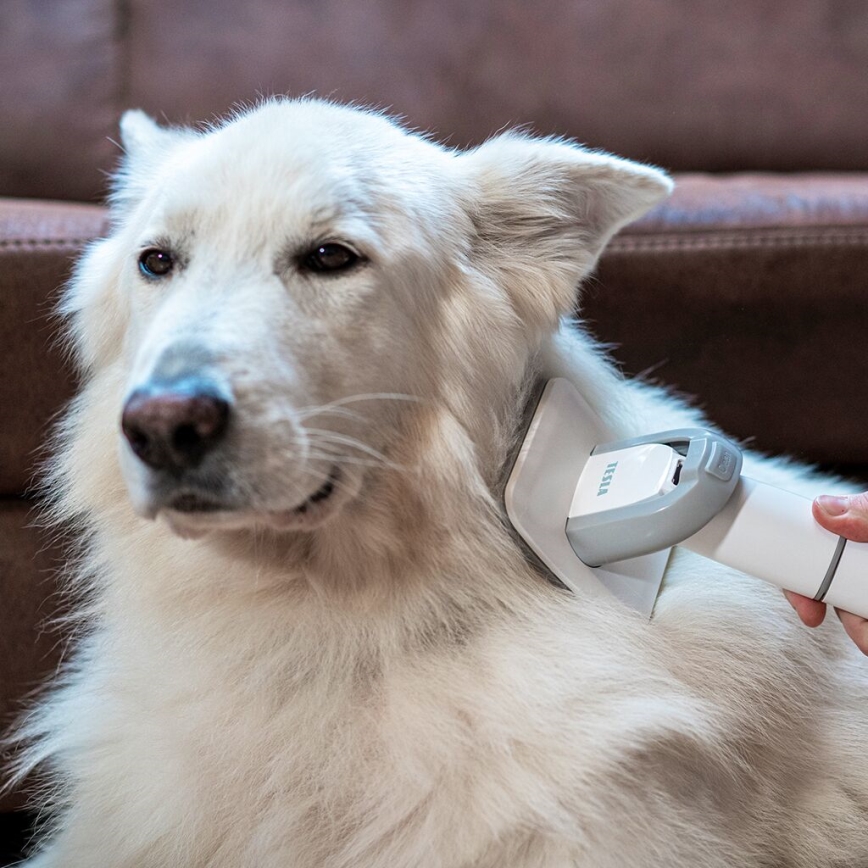 TESLA Electronics PetCare - Sada na starostlivosť o srsť domácich maznáčikov 300W/230V