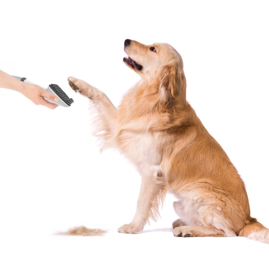 TESLA Electronics PetCare - Sada na starostlivosť o srsť domácich maznáčikov 300W/230V