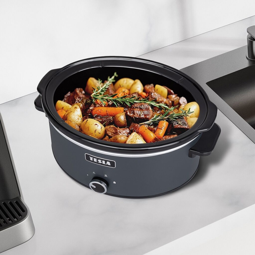 TESLA Electronics SlowCook - Pomalý hrniec 6,5 l 270W/230V