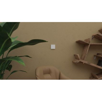 TESLA Smart - Inteligentný bezdrôtový domovný spínač 2P 1xCR2430 ZigBee