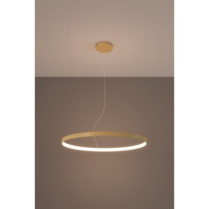 Thoro TH.174 - LED Luster na lanku RIO LED/50W/230V CRI 90 3000K pr. 78 cm zlatá