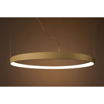 Thoro TH.174 - LED Luster na lanku RIO LED/50W/230V CRI 90 3000K pr. 78 cm zlatá
