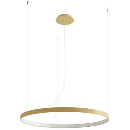 Thoro TH.174 - LED Luster na lanku RIO LED/50W/230V CRI 90 3000K pr. 78 cm zlatá