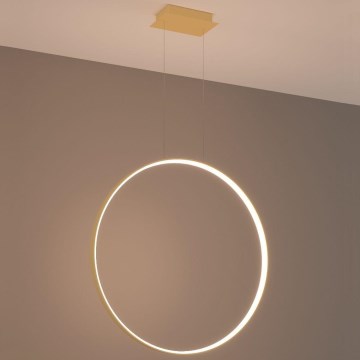 Thoro TH.175 - LED Luster na lanku RIO LED/50W/230V CRI 90 3000K pr. 78 cm zlatá