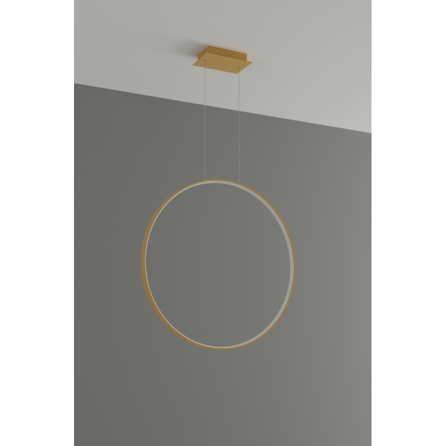 Thoro TH.175 - LED Luster na lanku RIO LED/50W/230V CRI 90 3000K pr. 78 cm zlatá