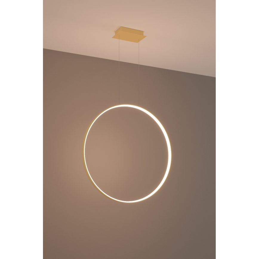 Thoro TH.175 - LED Luster na lanku RIO LED/50W/230V CRI 90 3000K pr. 78 cm zlatá