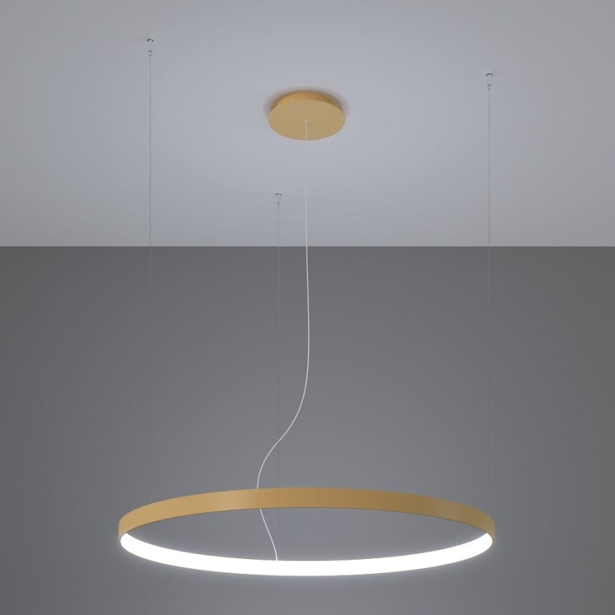 Thoro TH.181 - LED  Luster na lanku RIO LED /50W/230V CRI 95 4000K pr. 78 cm zlatá