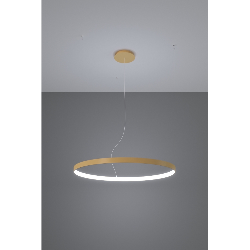 Thoro TH.181 - LED  Luster na lanku RIO LED /50W/230V CRI 95 4000K pr. 78 cm zlatá
