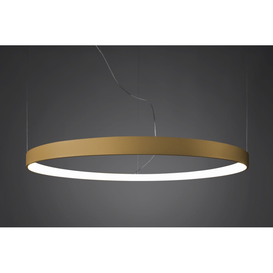 Thoro TH.181 - LED  Luster na lanku RIO LED /50W/230V CRI 95 4000K pr. 78 cm zlatá