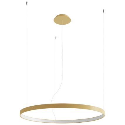 Thoro TH.181 - LED  Luster na lanku RIO LED /50W/230V CRI 95 4000K pr. 78 cm zlatá