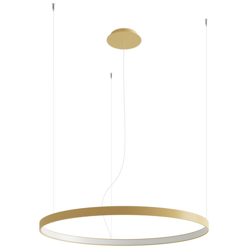 Thoro TH.181 - LED  Luster na lanku RIO LED /50W/230V CRI 95 4000K pr. 78 cm zlatá