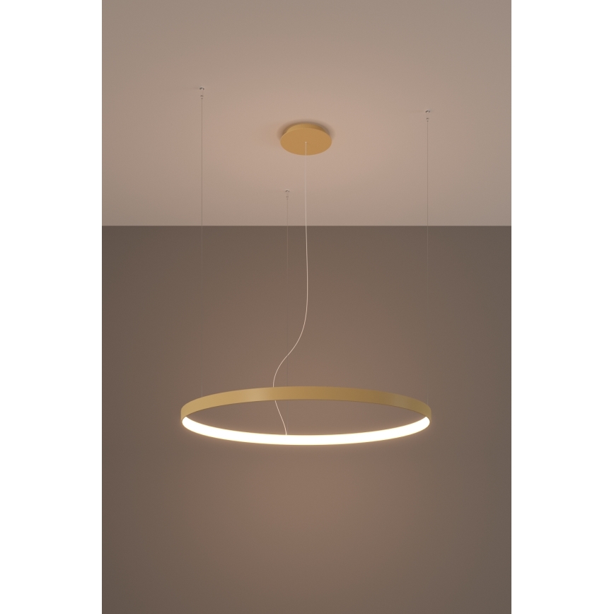 Thoro TH.216 - LED Luster na lanku RIO LED/30W/230V CRI 90 3000K pr. 55 cm zlatá