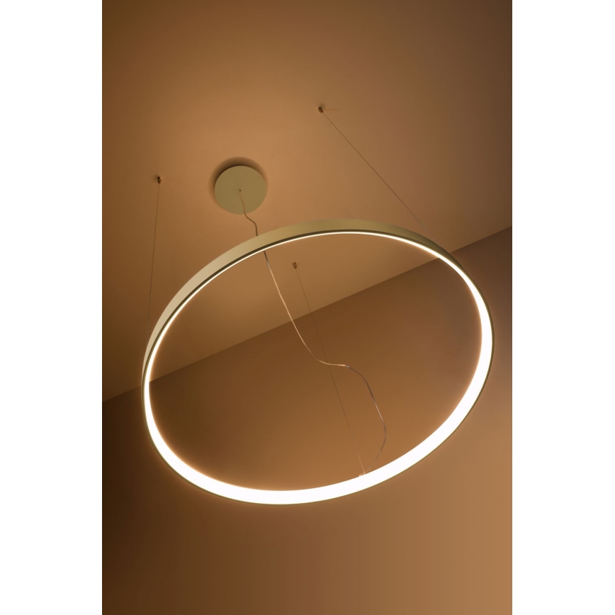 Thoro TH.216 - LED Luster na lanku RIO LED/30W/230V CRI 90 3000K pr. 55 cm zlatá