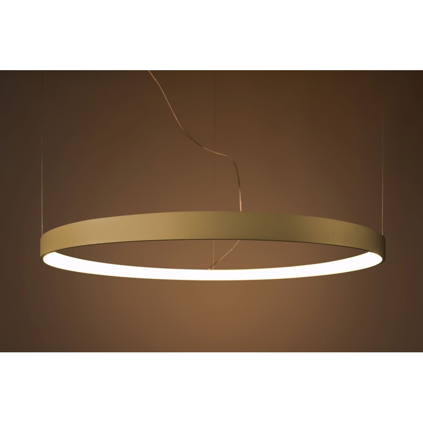 Thoro TH.216 - LED Luster na lanku RIO LED/30W/230V CRI 90 3000K pr. 55 cm zlatá
